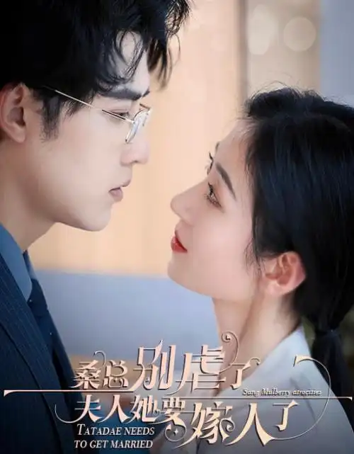 无声告白热播剧集